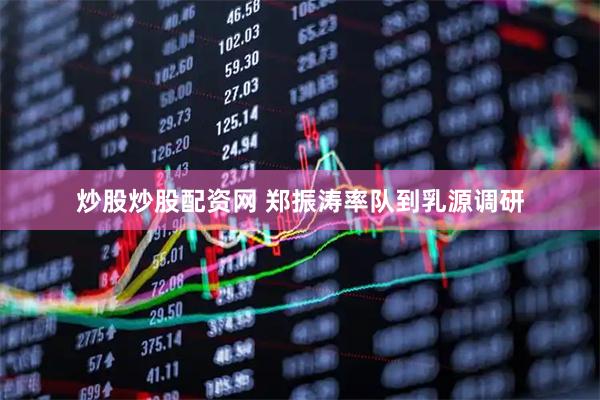炒股炒股配资网 郑振涛率队到乳源调研