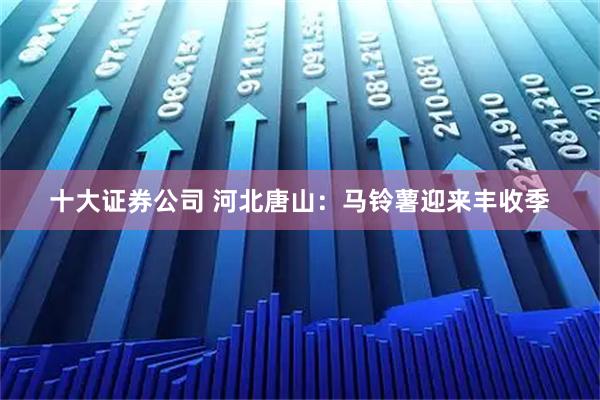 十大证券公司 河北唐山：马铃薯迎来丰收季